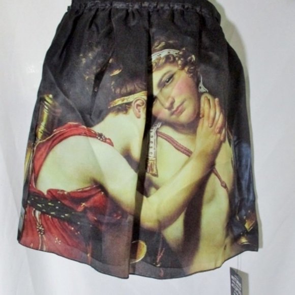 NEW NWT DOLCE & GABBANA GONNA ROMANTICO Skirt - Picture 1 of 9
